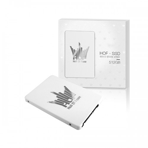 GALAX SSD HOF SERIES 512GB (R/W: Up to 520/500 MB/s) | MLC NAND flash