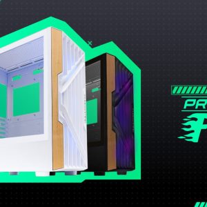 FURY BLACK (ATX , WOOD , FREE 3 FAN , TYPE C)